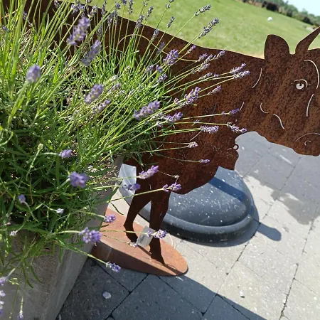 Ferme D'hurtaux Froid-Chapelle